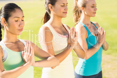 Peaceful sporty women doing yoga together