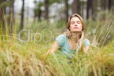 Young pretty hiker sitting in the high grass