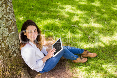 Beautiful brunette using tablet pc in the park
