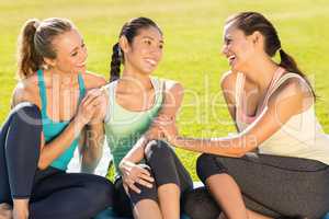 Smiling sporty women chatting