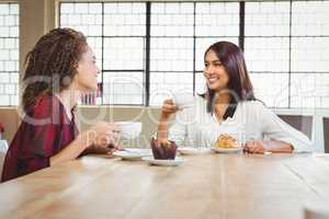 Female friends having coffee