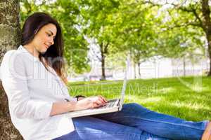 Beautiful brunette using laptop in the park