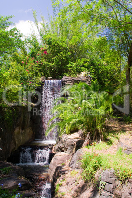 Wasserfall Wildnis Dschungel