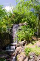 Wasserfall Wildnis Dschungel