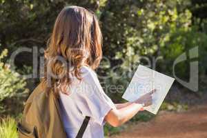 Brunette hiker reading map