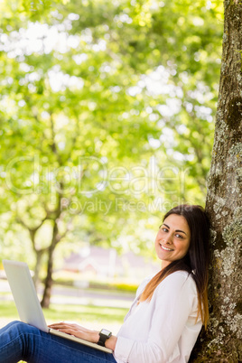 Beautiful brunette using laptop in the park