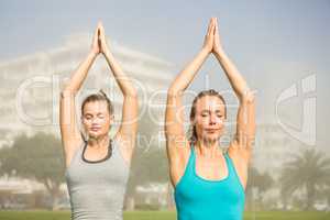 Peaceful sporty blondes doing yoga together