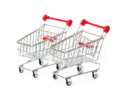 Two Metallic Shopping Cart