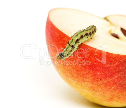 Green Caterpillar Creeps on Red Apple