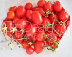 Red Tomato vegetables