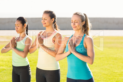 Peaceful sporty women doing yoga together