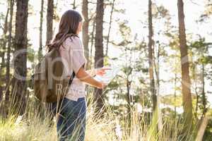 Brunette hiker reading map