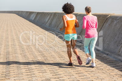 Rear view of two sporty women jogging together