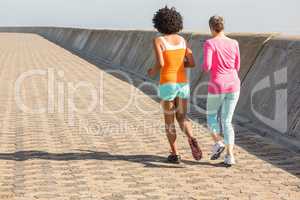 Rear view of two sporty women jogging together