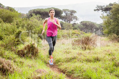 Pretty blonde athlete jogging