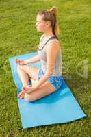 Peaceful sporty blonde meditating on exercise mat