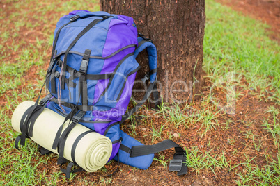 An hiking backpack leaning on a tree