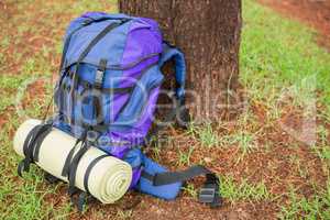 An hiking backpack leaning on a tree