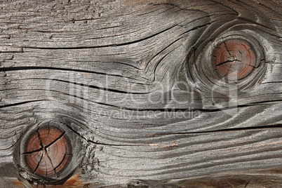 Old wooden board with annual rings