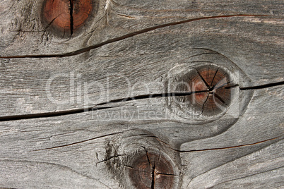 Old faded wooden board with annual rings