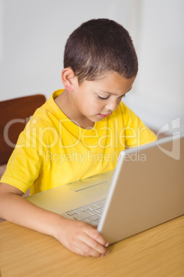 Cute pupil in class using laptop