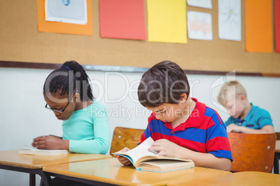 Pupil reading a school book