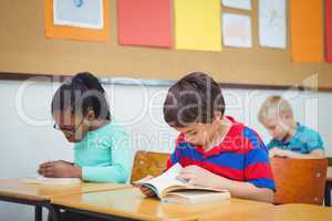 Pupil reading a school book