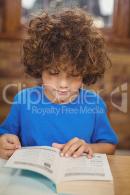 Cute pupil reading book in the library