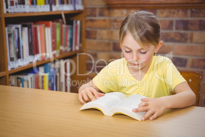 Student reading a book