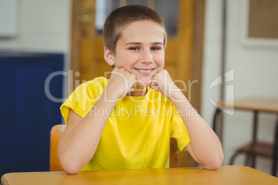 Smiling pupil sitting at his desk in a classroom