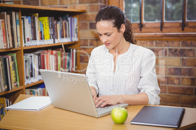 Teacher using her laptop for work