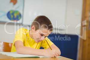 Smiling pupil working at his desk in a classroom