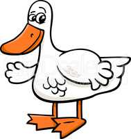 duck bird farm animal cartoon