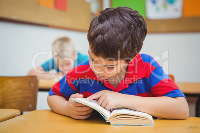 Pupil reading a school book