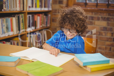 Cute pupil reading book in the library