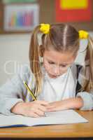 Concentrated pupil working at her desk in a classroom
