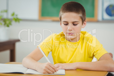 Concentrated pupil working at his desk in a classroom