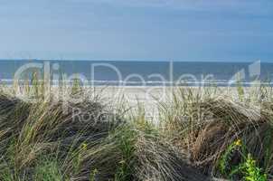 Seegrass, Strand und Sanddünen