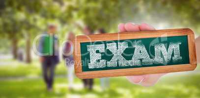 Exam against froup of college students walking in the park