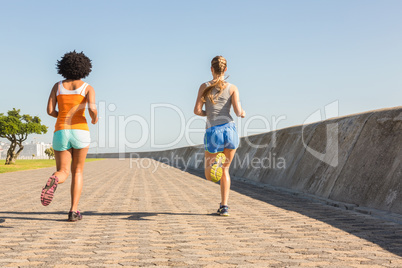 Rear view of two young women jogging together