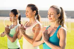 Peaceful sporty women doing yoga together