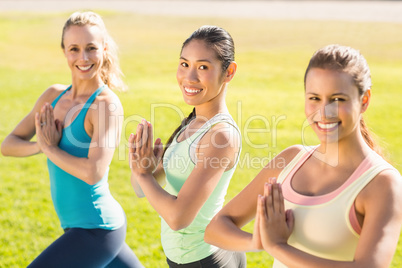 Smiling sporty women doing yoga together