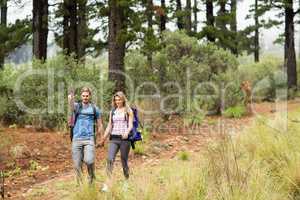 Young hiker couple hiking and pointing