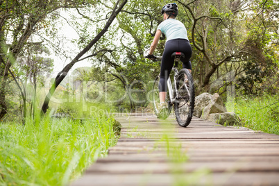 Rear view of a fit woman cycling her bike