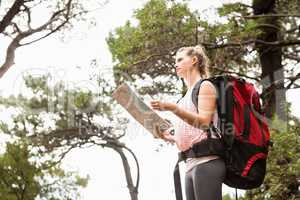 Blonde hiker with map searching for path