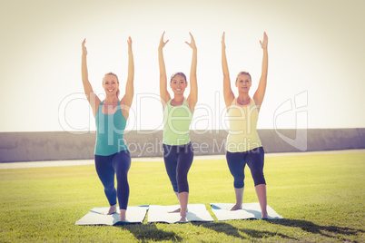 Smiling sporty women doing yoga together