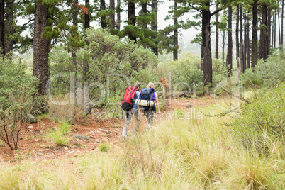 Young hiker couple hiking