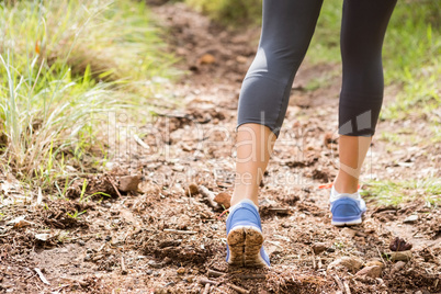 Close up view of athletes legs on trail