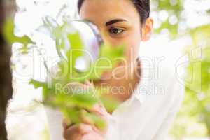 Beautiful brunette looking at plant through magnifying glass