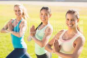 Smiling sporty women doing yoga together
